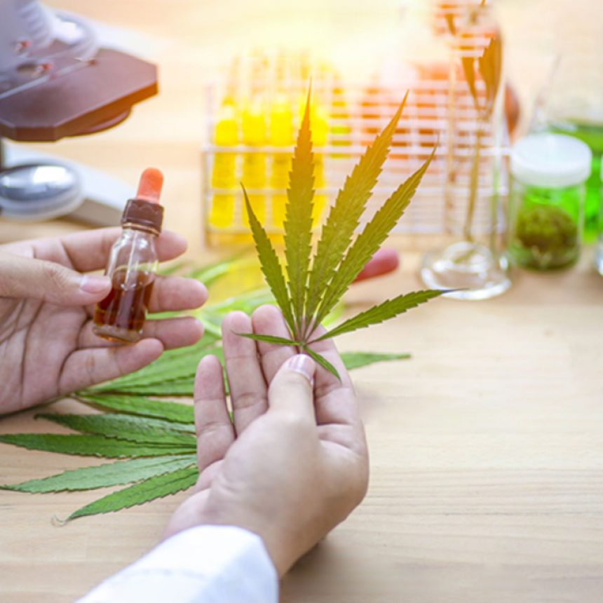 Online MMJ Recommendation In Pennsylvania